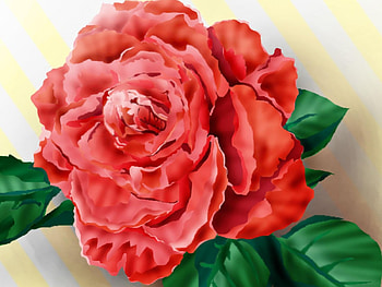 Rose, abstract HD wallpaper
