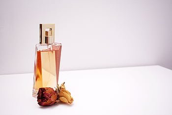 Elegant glass perfume bottle with luxurious design placed next to dried flowers against a minimalistic white background. HD wallpaper