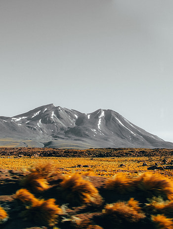 Landscape, Nature, Stones, Mountains, Bush, Vertex, Tops HD phone wallpaper
