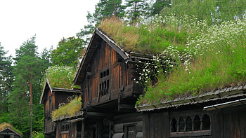 Norwegian village houses, Green rooftop charm, Serene countryside, Idyllic setting HD wallpaper