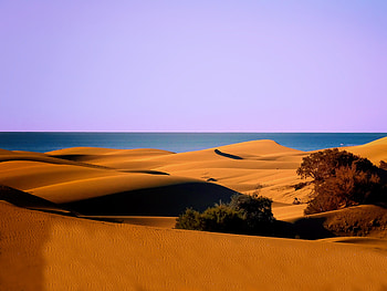 Dunes, desert, coast, sea, nature HD wallpaper