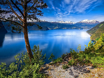 Lake lights, blue, river, lakeshore, crystal, nice, shore, reflection, greenery, beautiful, tree, lake, mountain, summer, mirrored, lights, view, clouds, nature, sky, flowers, riverbank, clear, lovely HD wallpaper