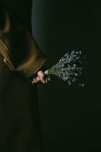 Flowers, Dark, Hand, Bouquet, Lavender HD phone wallpaper