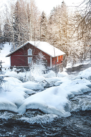 Nature, Trees, Snow, Forest, Snow Covered, Snowbound, Hut HD phone wallpaper