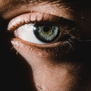 Intimate close-up of a human eye with dramatic lighting, highlighting the iris and eyelashes. HD phone wallpaper