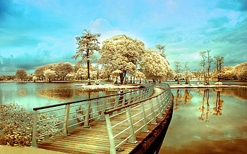 Nature, Rivers, Trees, Bridge, Color, Colors, Island, Transition HD wallpaper