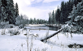 Winter Land, White, Winter, Snow, Trees, Rivers, Clouds, Sky HD wallpaper