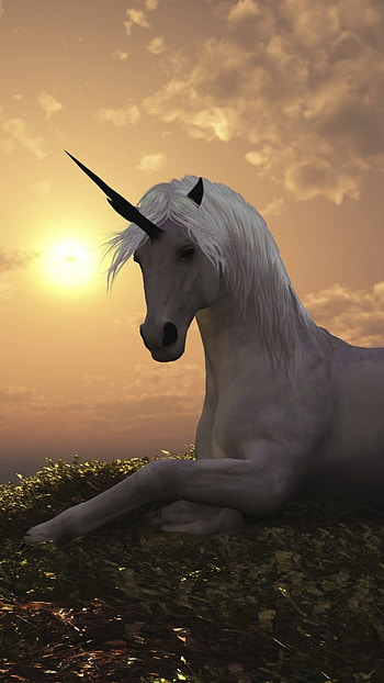 fantasy unicorn on mountaintop, fantasy, unicorn HD phone wallpaper