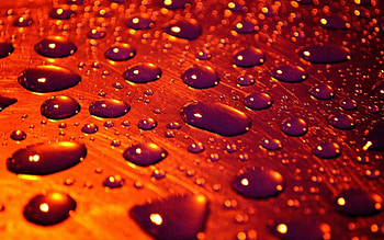 Water, Drops, Macro, Surface HD wallpaper