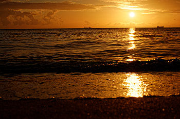 Nature, Sunset, Sun, Horizon, Coast, Glare HD wallpaper