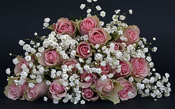 Bouquet of Roses, baby breaths, bouquet, flowers, roses HD wallpaper