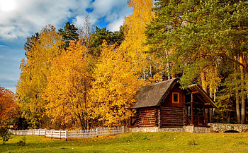 Wooden house in the fall, trees, autumn, forest, cabin, wooden, fall, house, peaceful, beautiful, hut, countryside HD wallpaper
