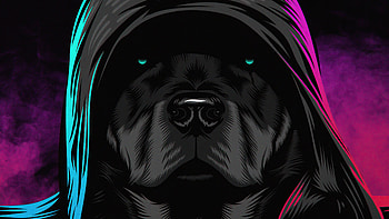 Black Dog Glowing Eyes , dog, artist, artwork, digital-art, dark, black HD wallpaper