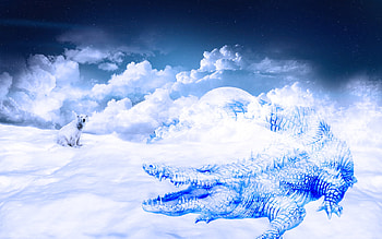 Night Dream, winter, blue, bear, crocodile, snow, clouds, sky HD wallpaper