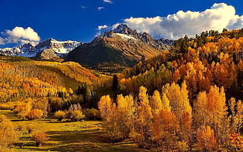 Yellow autumn, Landscape, Mountains, Forest, Trees HD wallpaper