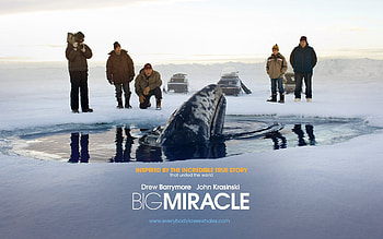 Big Miracle , Beautiful ry, Visual splendor, Memorable backdrop HD wallpaper