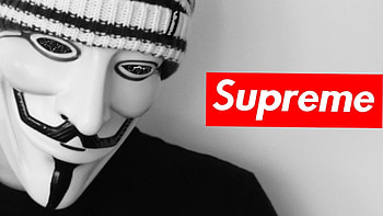Funny Supreme HD wallpaper