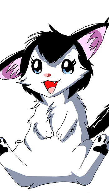 Kuromi, Kuromi Cat HD phone wallpaper