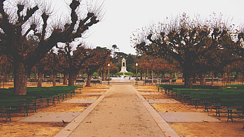 Golden Gate Park, San Francisco, California, stock HD wallpaper