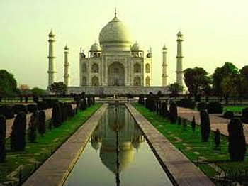 Taj, paradise, seagull, hammock, spears HD wallpaper