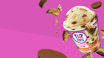 Baskin Robbins frozen treats, Digital work portfolio, Harlo interactive, Portfolio HD wallpaper