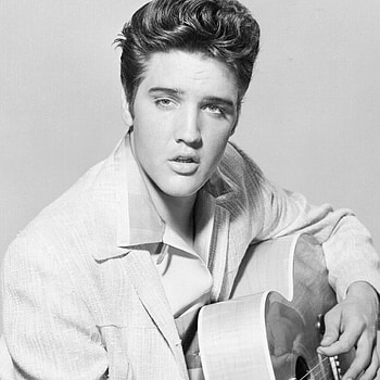 Elvis Presley, , cat, High quality HD phone wallpaper
