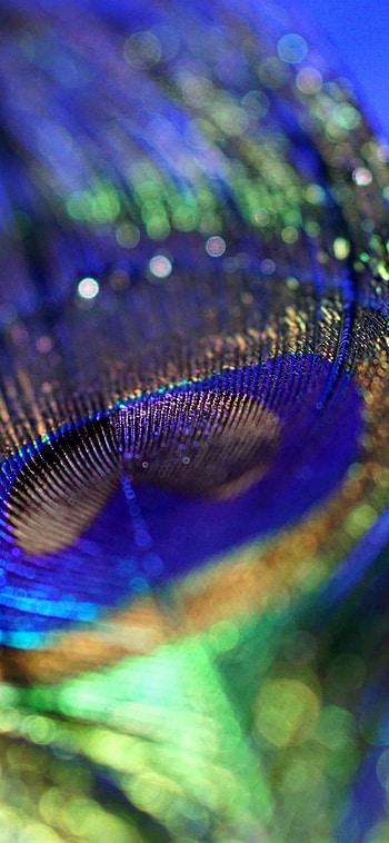Plumage feather, Colorful bokeh, X HD phone wallpaper