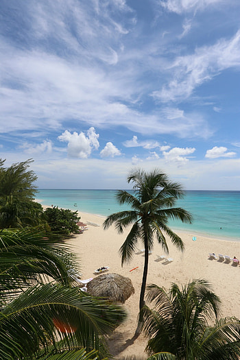 Cayman Islands, Travels, Kid-friendly vacation guide HD phone wallpaper