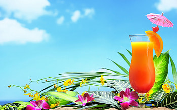 Summer Cocktail, graphy, vacation, holiday, season, abstract, glass, fruit, , fruits, orange, summer, cocktail, SkyPhoenixX1, clouds, sky, flowers, drink HD wallpaper