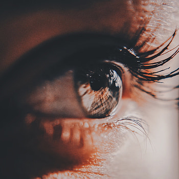 Macro, Shine, Light, Eye, Pupil, Eyelash, Eyelashes HD phone wallpaper