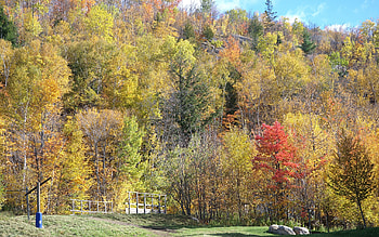 Fall Painting, side, fall, colors, forests, beautiful, nature, mountain HD wallpaper