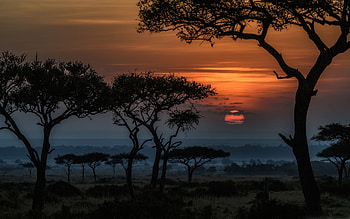 Kenyan , Breathtaking sceneries, Vibrant culture, African beauty HD wallpaper