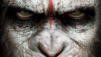 Planet of the Apes, , backgrounds HD wallpaper