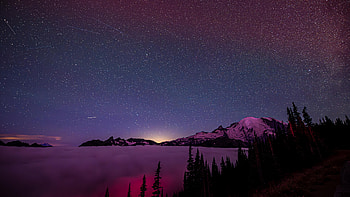 Meteor Shower Under A Layer Of Clouds, meteor-shower, stars, star, tree, trees, clouds, nature HD wallpaper
