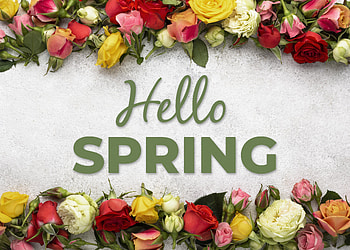 artistic, spring HD wallpaper