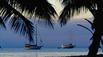 Fishing boats at sea, other, nature, entertainment, boats HD wallpaper