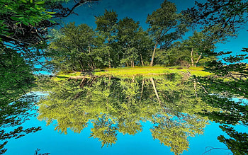 Dam No 1 woods, Illinois, reflection, trees, USA, sky, water HD wallpaper