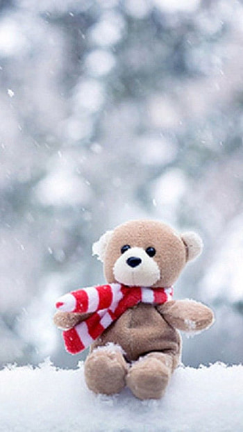 Teddy Bear, snow HD phone wallpaper