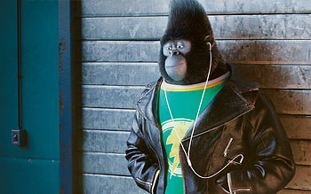 Sing 2, Taron Egerton as Johnny Sing HD wallpaper