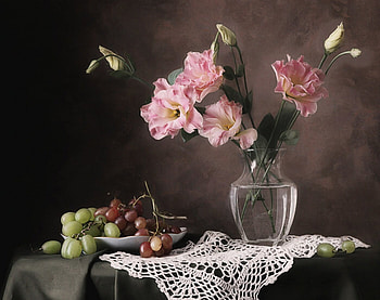 Still Life, grape, vase, roses HD wallpaper