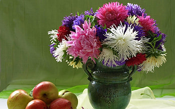 Asters and Apples, still life, asters, apples, bouquet, vase, flowers HD wallpaper