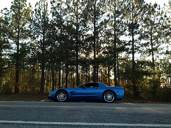 Corvette Drive, people, forest, car, entertainment HD wallpaper