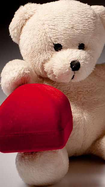 Cute Teddy, Gift, Teddy Bear HD phone wallpaper