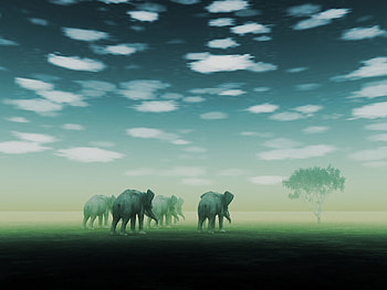 Art, Desert, Elephants, Fog, Mirage HD wallpaper
