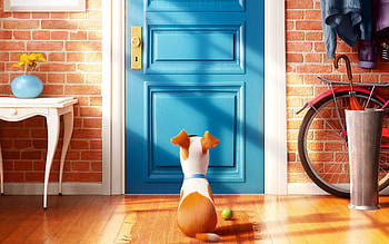 2016 The Secrete Life of Pets, the-secret-life-of-pets, movies, animated-movies, cartoons HD wallpaper