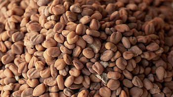 Health benefits, Methi, Natural remedies HD wallpaper