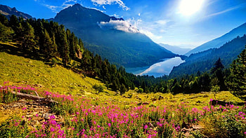 Landscape with mountain and lake, sunshine, sunlight, slope, landscape, beautiful, grass, mountain, lake, summer, wildflowers, bright, valley, sky, sun HD wallpaper