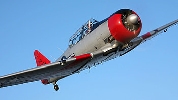 military historical club plane f2a buffalo brewster f2a buffalo deck fighter air force united states second HD wallpaper