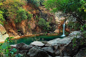 Beautiful waterfalls, trees, waterfalls, nature, water, rocks HD wallpaper