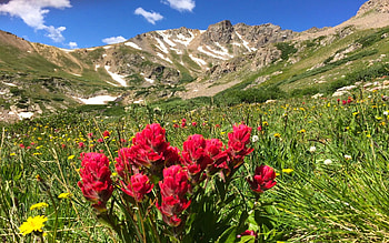 Herman Gulch, Colorado, mountains, usa, blossoms, landscape, meadow, sky HD wallpaper